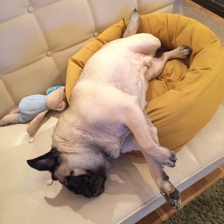 B9362708 1b3a 48c3 a043 c05e272fd1b3