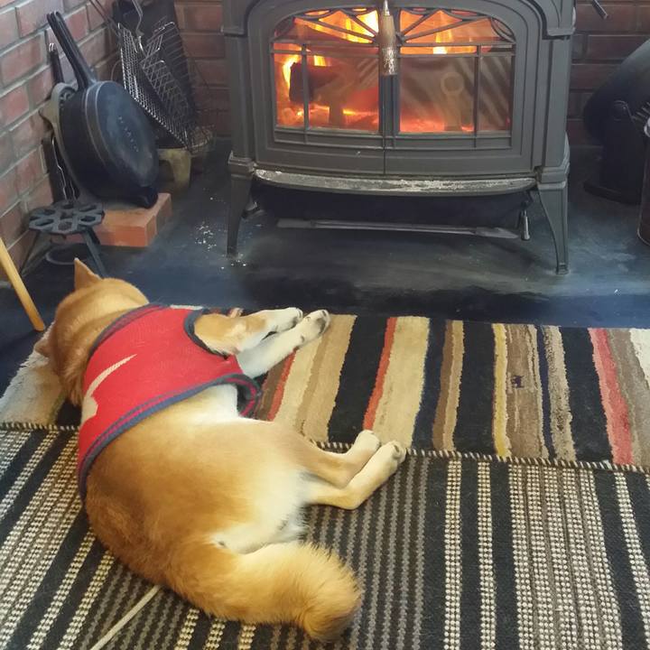 B9366167 e9fc 40af ab65 dd7a370d16bb