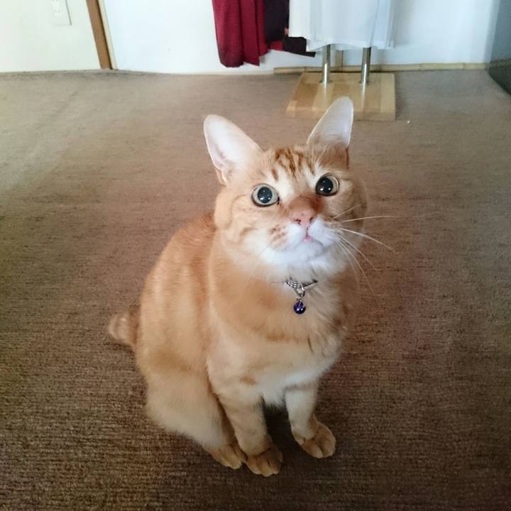 B9373976 9549 4456 95f2 67575369d087