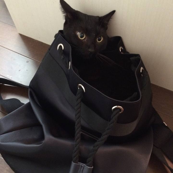 B9393416 3078 493d a3c3 b73f72677e05