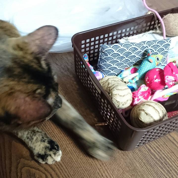 B9398aec 7e3c 4b17 b78c e1b2bcd10a48