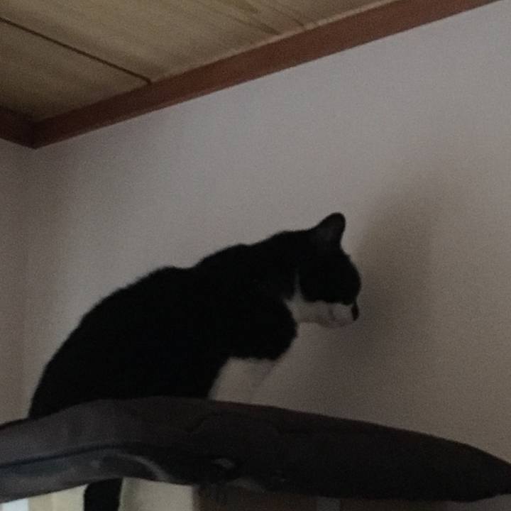 B939a092 de88 4907 94a1 5a70a57e951b