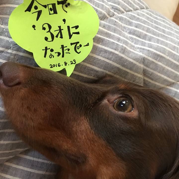 B93a260d 9522 487e 8325 c08d3f9fbe47