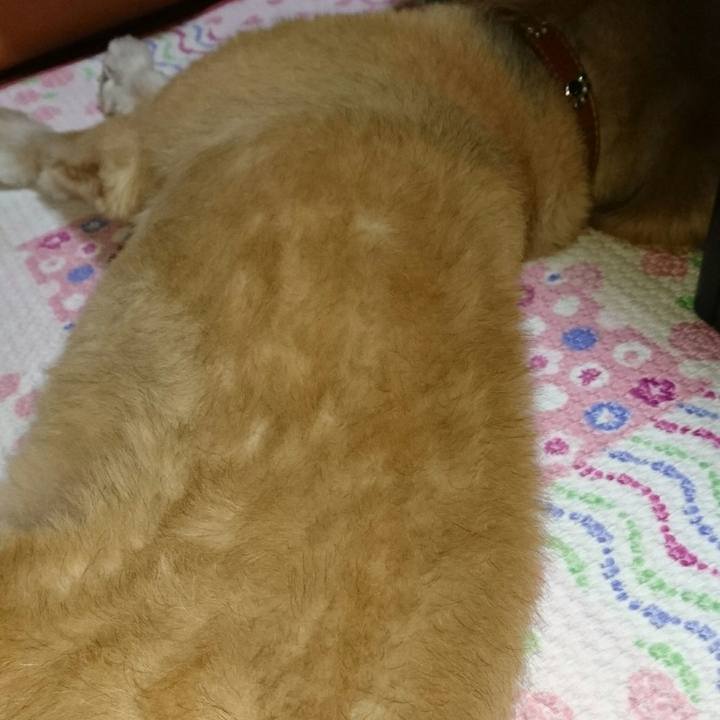 B93a28b8 f770 4257 92f2 b914bd8ea79a