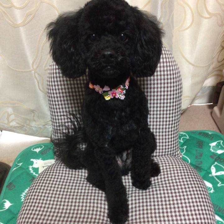 B93a2cff 4775 4229 8d33 caf3de641db2