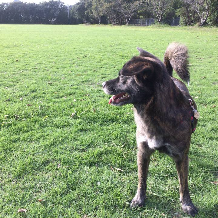 B93a7b18 8670 46e6 a5db 2e9b08f604c9