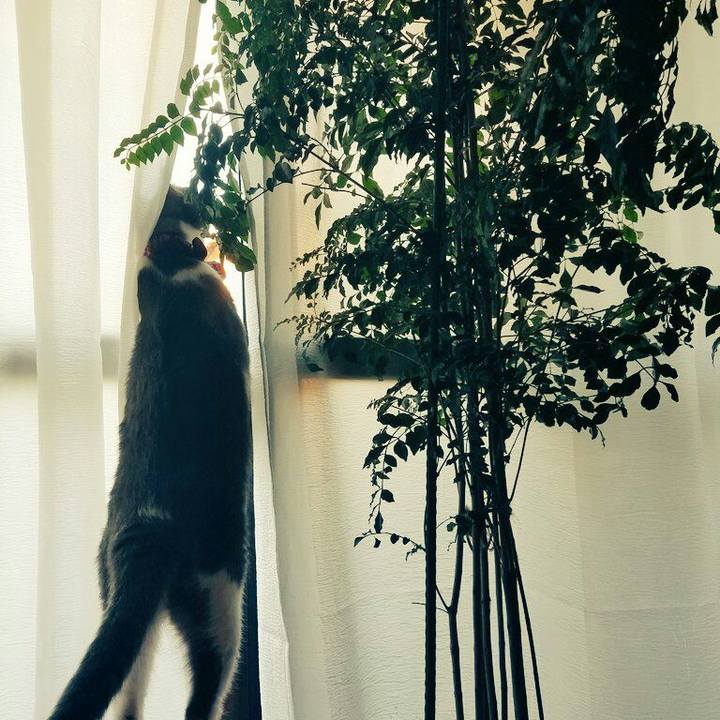 B93bac9d 6c19 499a b18d 4e0d0a81dd4f