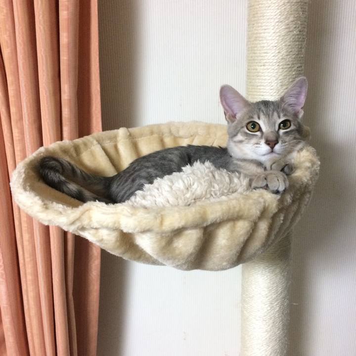 B93c61da 73b9 4dc0 ba7c b3f265dad5ad