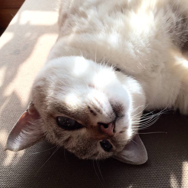 B93f5531 add6 4536 9732 b8be793d981d