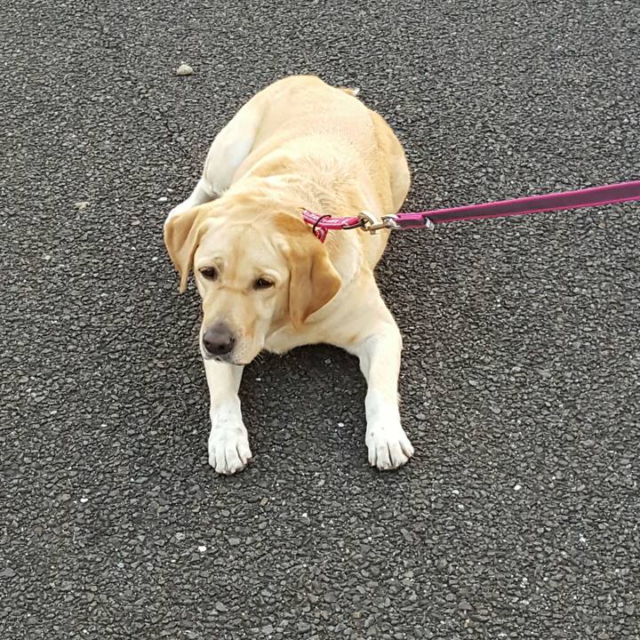 B93f864d c761 4d06 8895 92181640cf0a