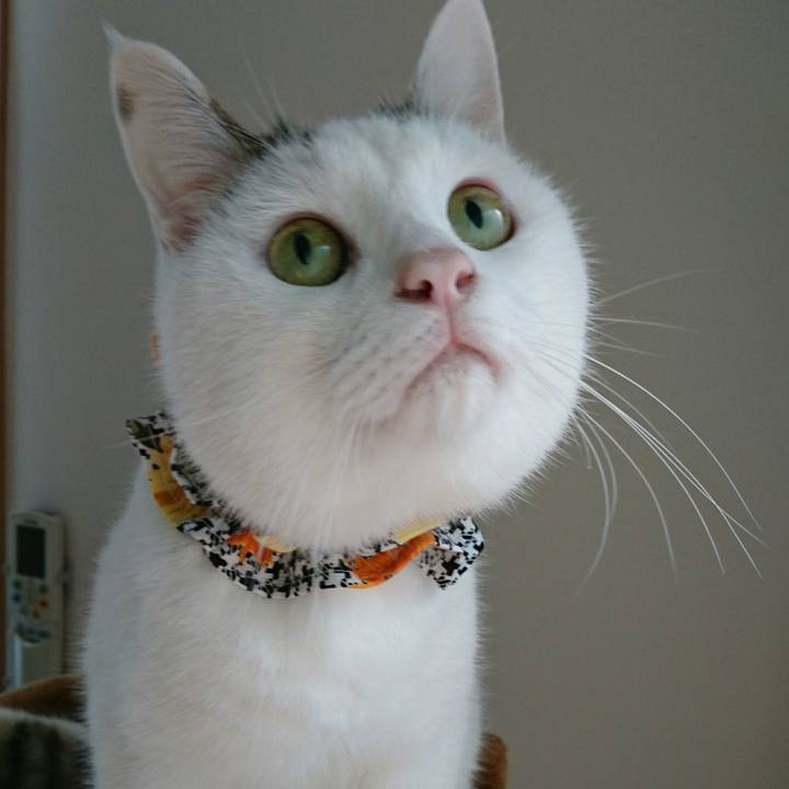 B93ff0cb 1033 4bf8 8573 614255fba5aa