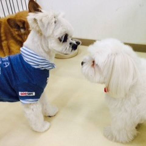 B94036d8 9f63 474b 89cf 4acf331d7103