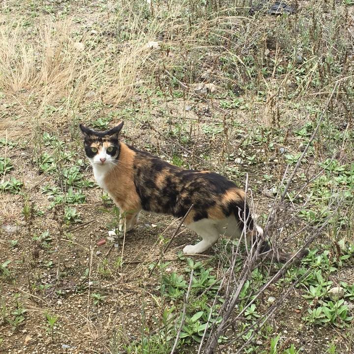 B940b5f1 5ba1 49cb b5e7 0240d73764a1