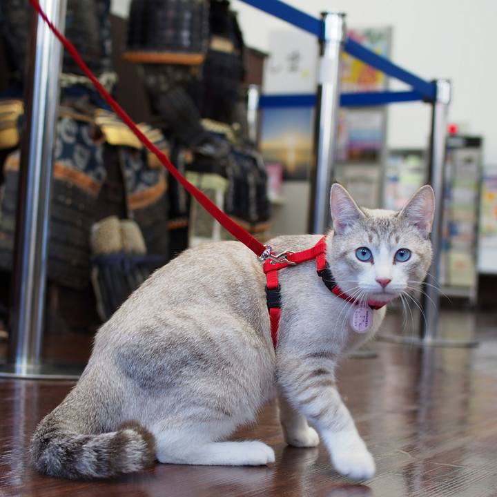 B940fe6b 9e0d 40e3 9745 186b3f1ed2f3