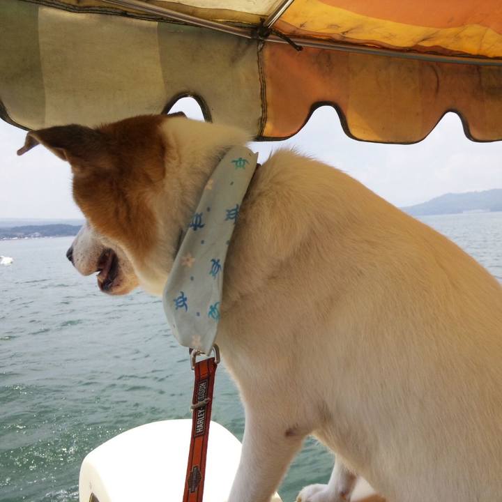 B9410006 9d66 4e43 adf8 e8ed48ff6566