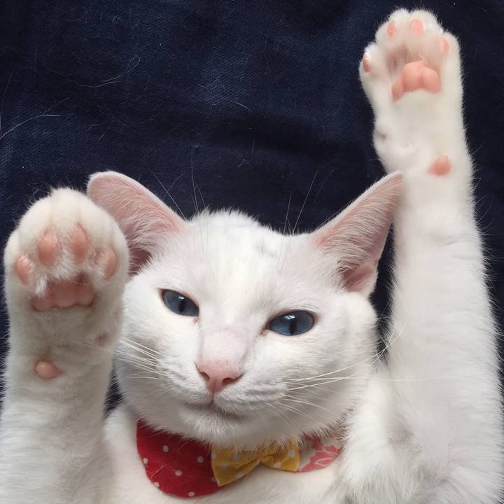 B941047a dd67 4b22 8d4e fc33da9a7f83