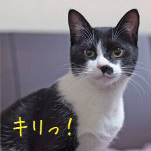 B941abf1 5f53 406f b0c1 9c7786025691