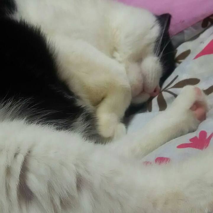 B941f410 263c 4b79 a10b b0f6c92f25dc