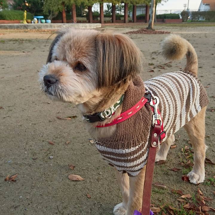 B9425adc 7738 4756 a932 215ff6e0e823