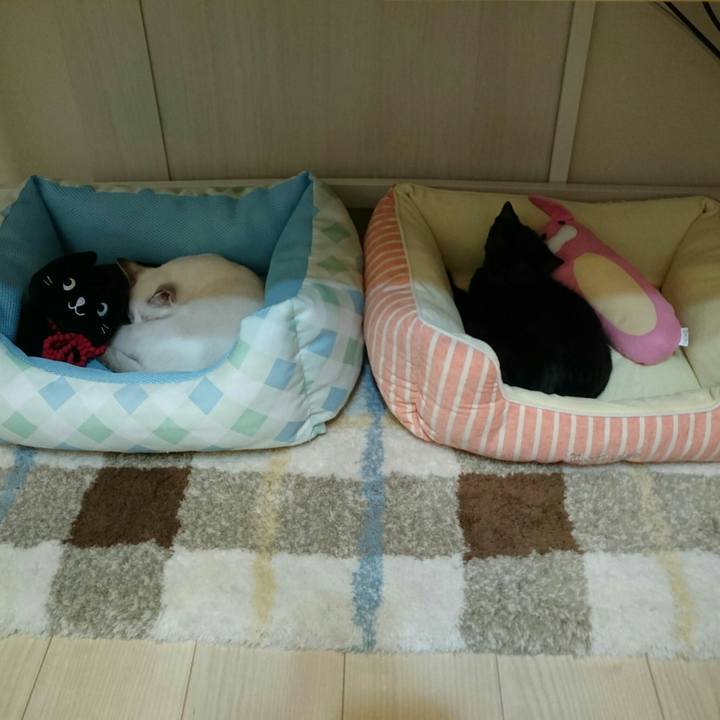 B942a2d3 c34d 4684 a9c0 61065ad0cd6e