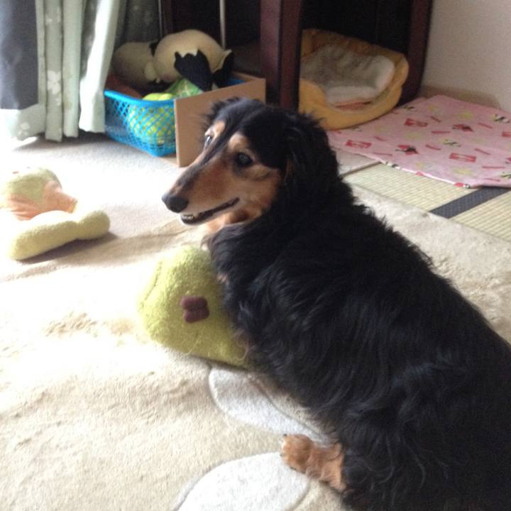 B942f9f4 b4e2 4c23 a2e9 05b7aad0ecc0