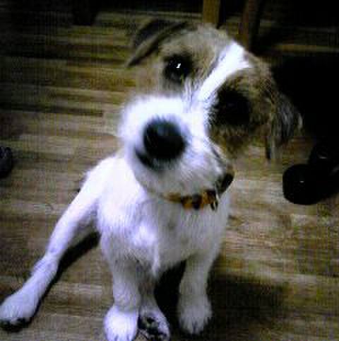 B9431231 2667 4afd 8153 d9cfa311246b