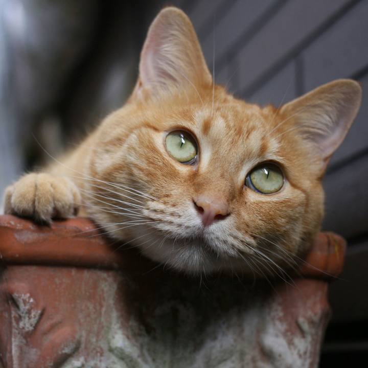 B943f69d c05d 47a7 bdf2 1869b874a81c