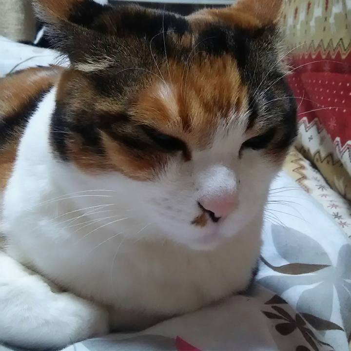 B94431df 2bc2 4a9f af47 135ddbce1cf6