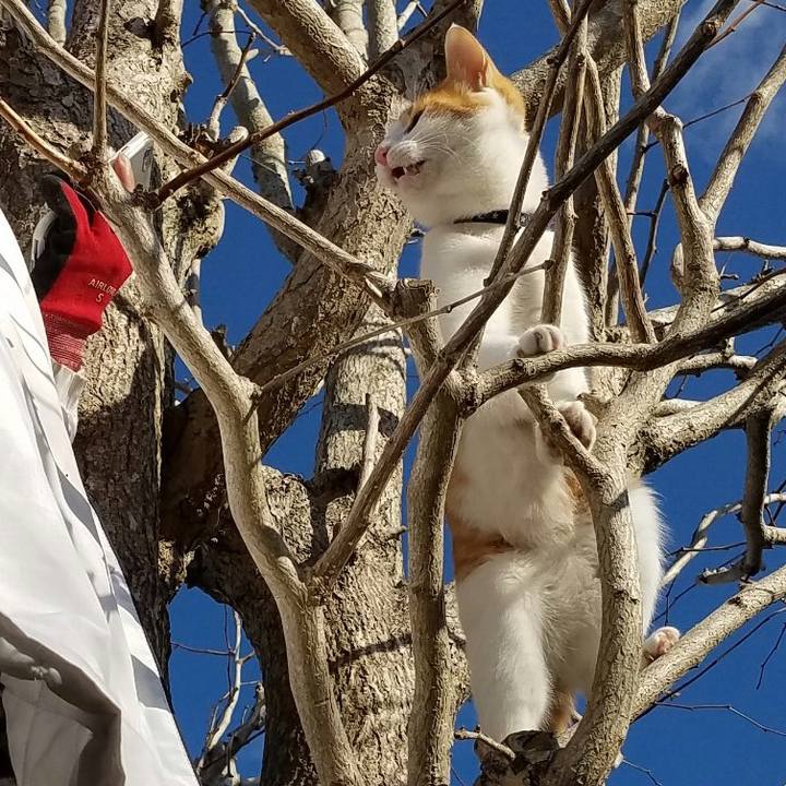 B944a621 141c 48b6 bcb9 699be510b7db