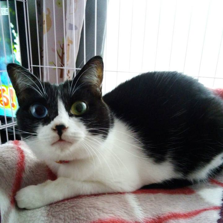 B944da1f 6ada 4dba beb2 24f7d73ad77d