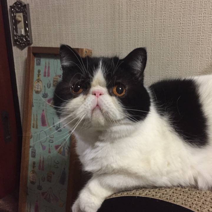 B9452658 e8d9 4c34 a9f5 ef3a3e7ee8cc