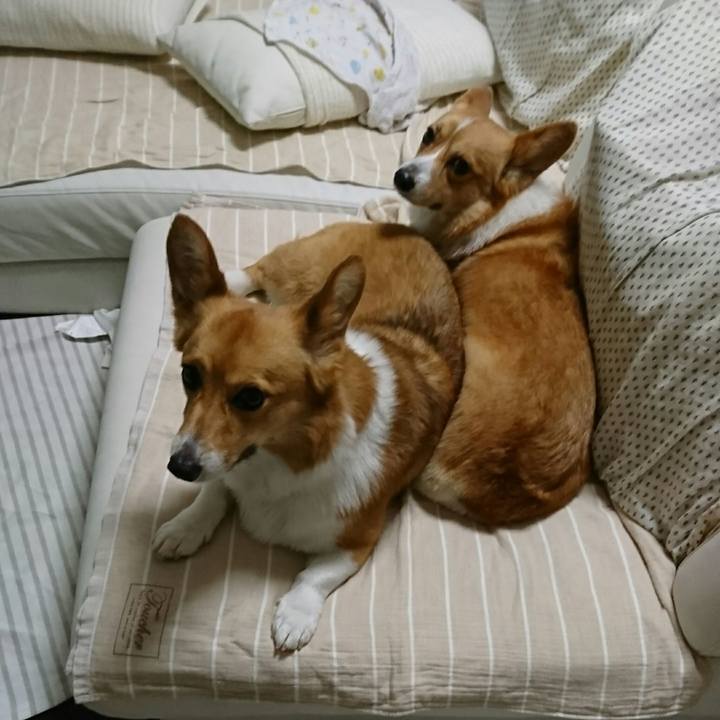 B945cb5b 2b91 4377 a9b2 923decddb127