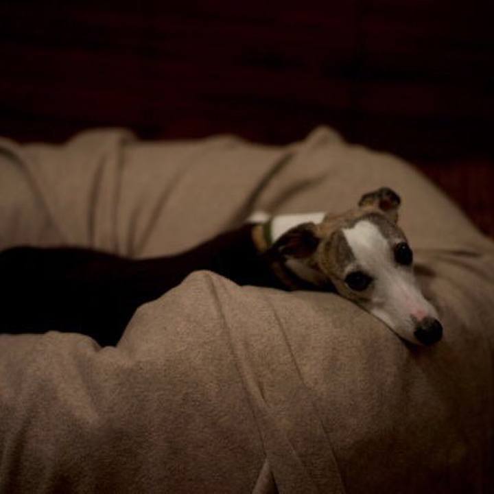 B9463133 76f0 439b 9d48 4f1983e49dac