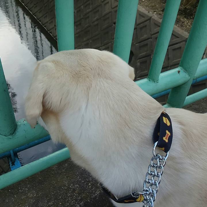 B946d971 0724 4001 939d 8e1acc385f2e