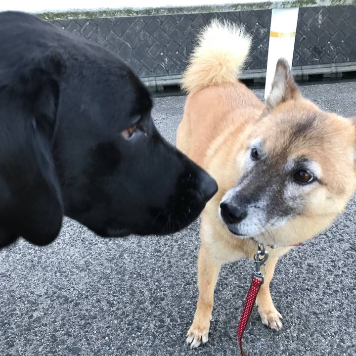 B947930e aa52 47f9 bba1 09a9d5654815