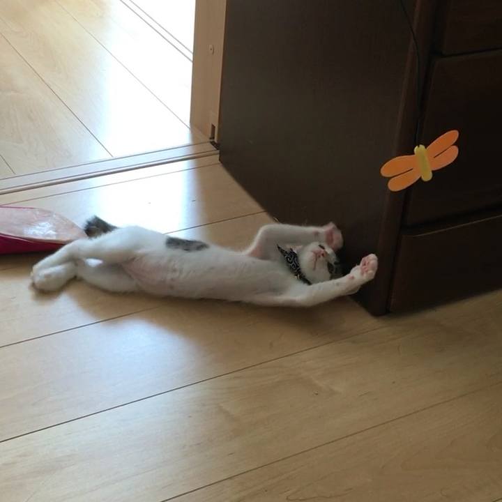 B947a5e6 f2f1 4bc7 baeb 0a28576029b8