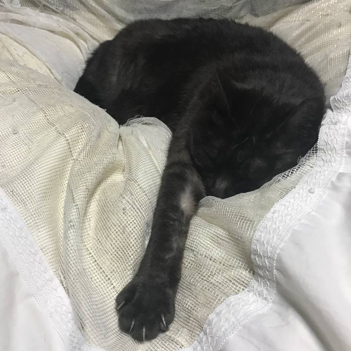 B9480727 06f1 4640 b8de 3a14b789387c