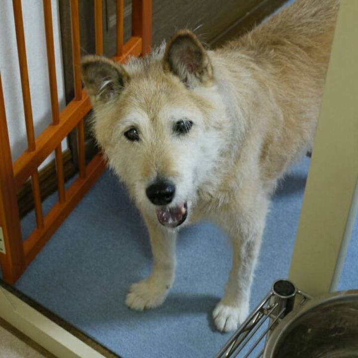 B9482580 b1a3 4633 9fed 697363b40055