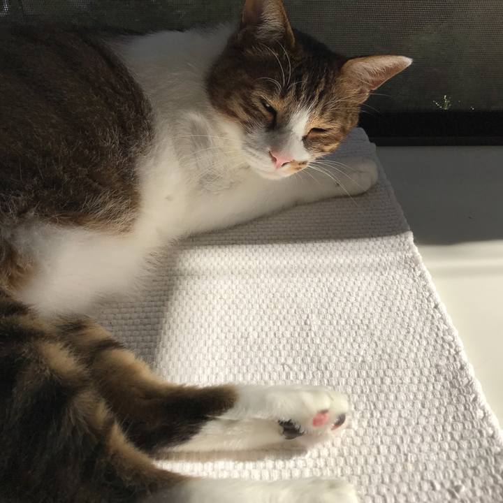 B9487885 907f 4aed 8a58 a018e4aeac07