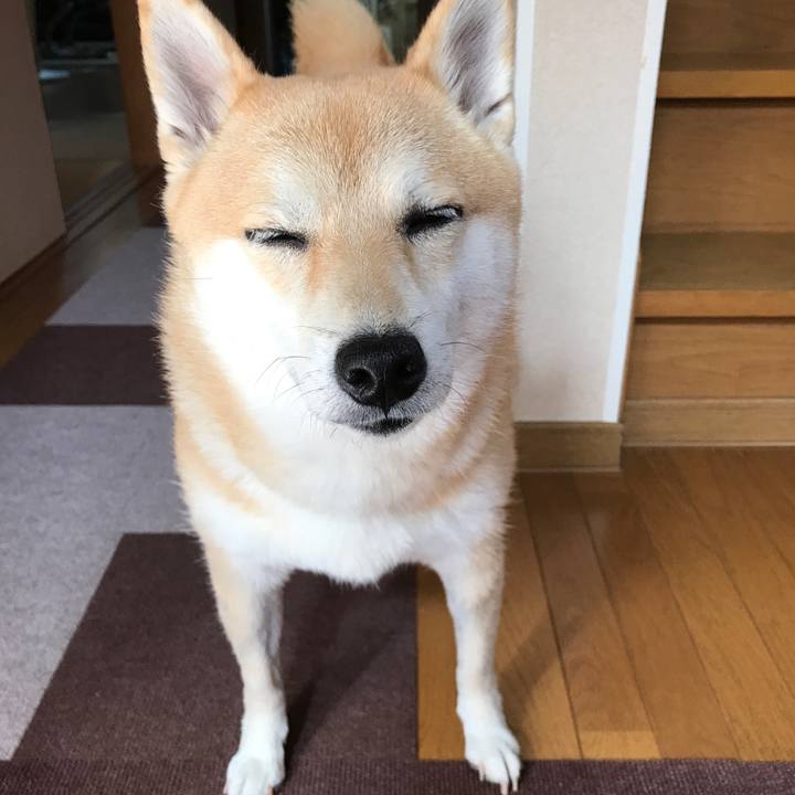 B9498a5f 8339 4789 9b45 b7296ffedb34