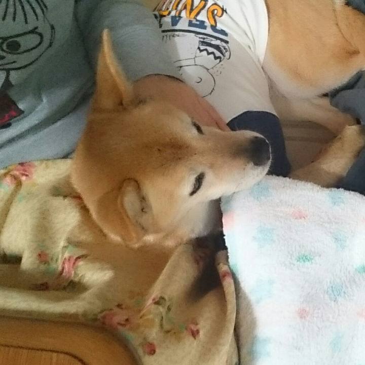 B949b1e0 7c81 4f37 b7cd aeb285e2b3da