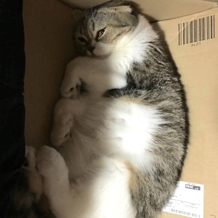 B94a3d28 13ac 4497 b52b f20cc320bbde