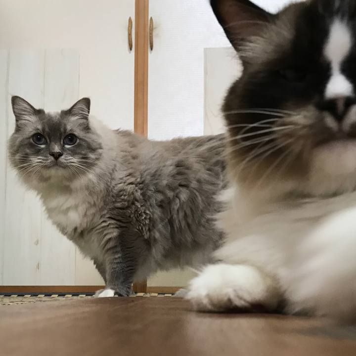 B94a7b28 cde6 4c1d 9c71 6371a0c13194