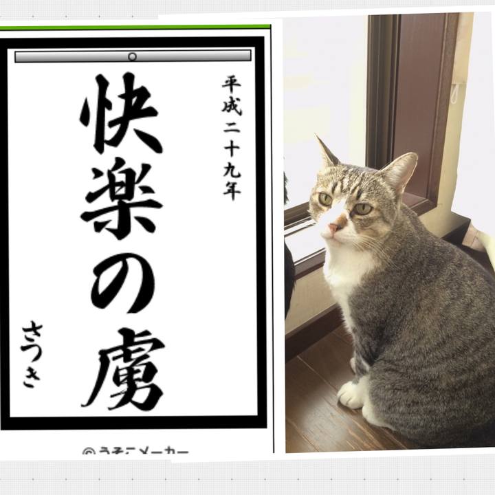 B94a9863 d843 4cae b63f d3c981b6b991