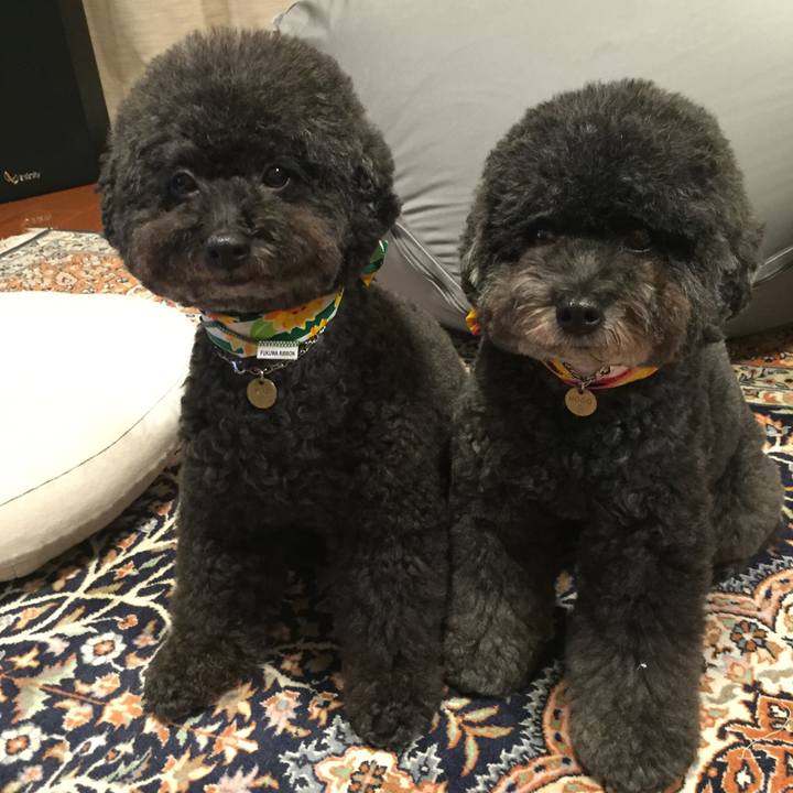 B94af69b 4f10 43b1 aa78 b92359dd946a