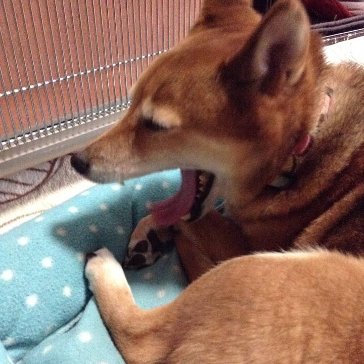 B94c0034 3c84 4599 bb2d 4a3f164cd819