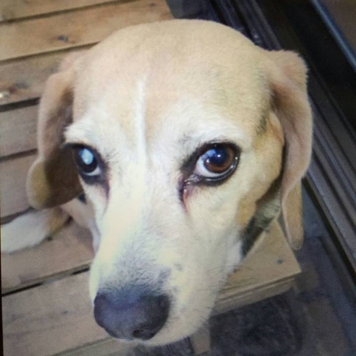 B94c1a2e a35b 4107 8fbc 8104a550e81e