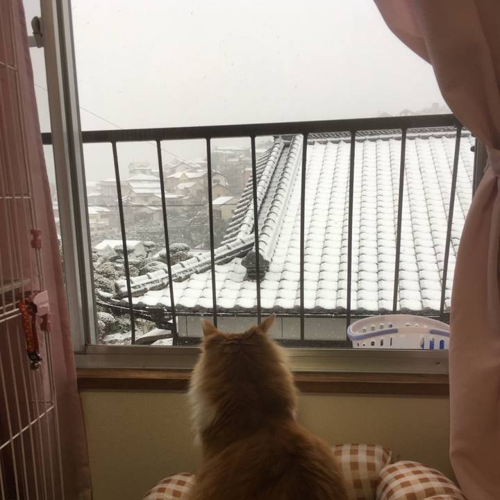 B94d4fb4 6abd 4ba0 98ed ad1c475582a0