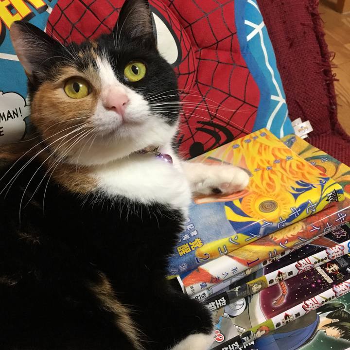 B94e6a0a 63d0 4026 b7af 6647c4ae0a65