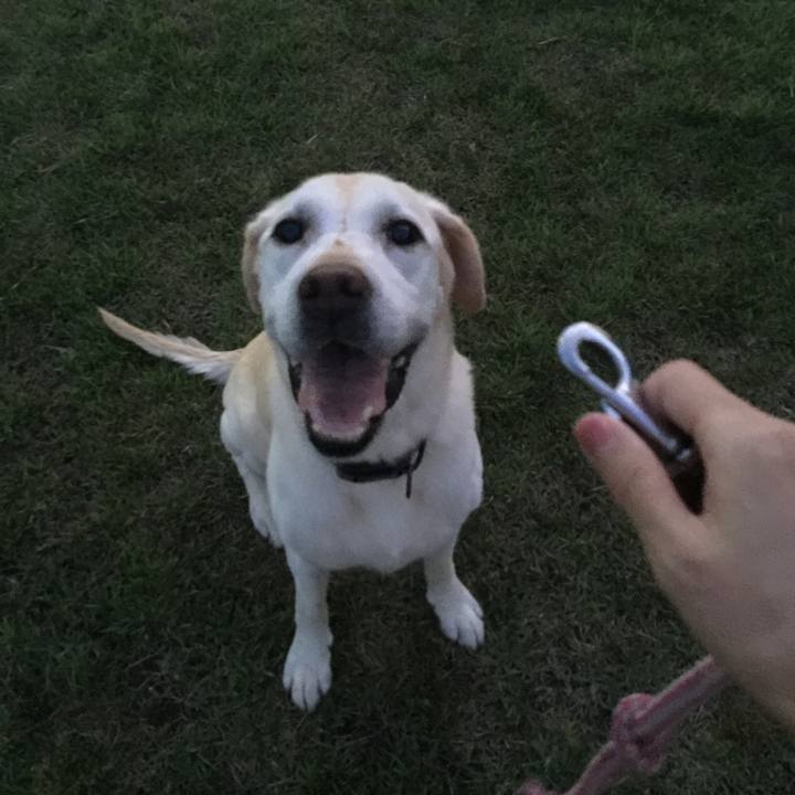 B94eca2b b237 40b8 bfd9 1097a645eca8